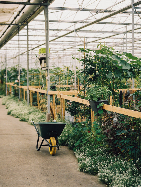 Workshop - Fermented Hot Sauce @ MOES Tuinen Amstelveen