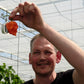 Workshop & Greenhouse Tour - Fermented Hot Sauce @ Westlandpeppers