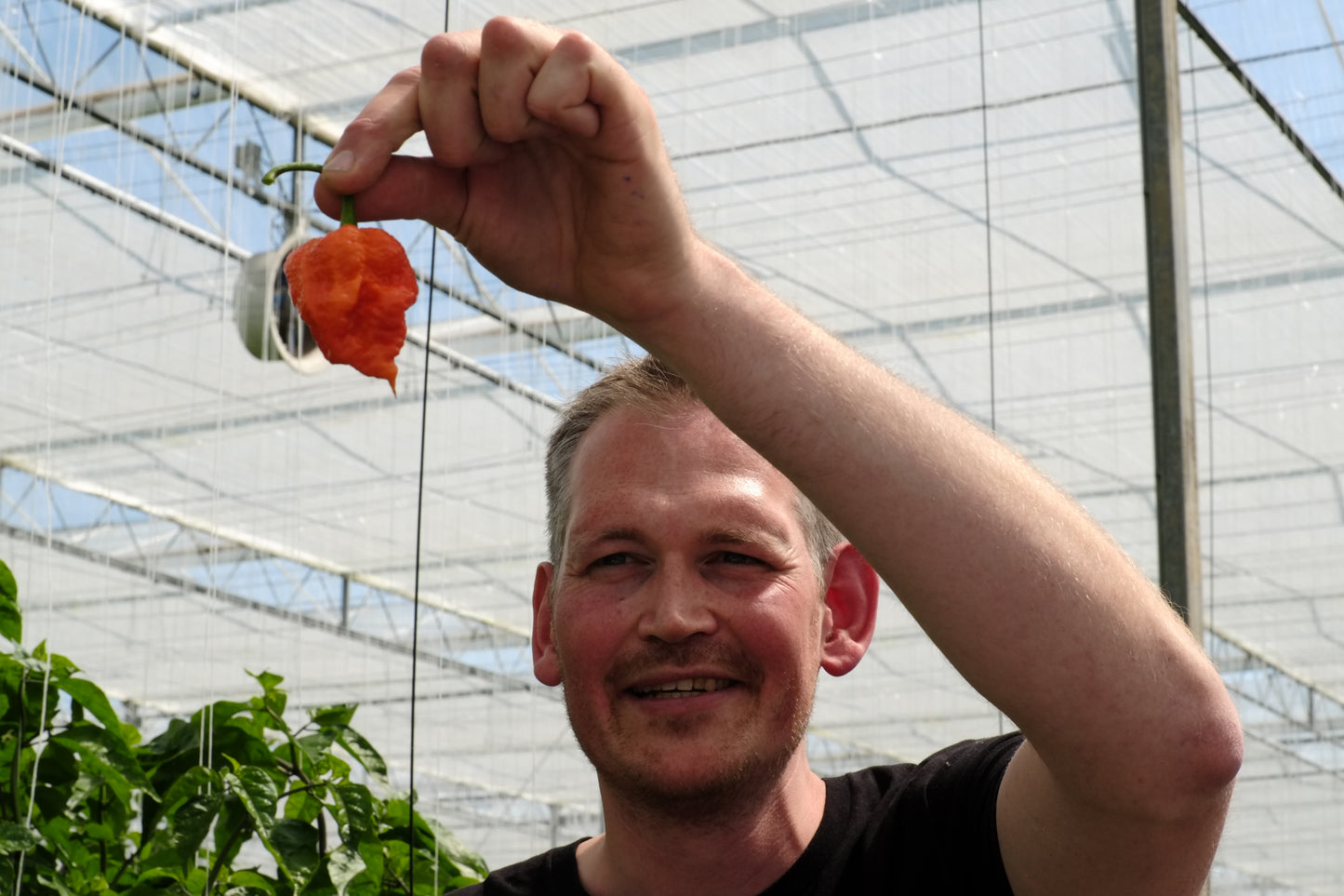 Workshop & Greenhouse Tour - Fermented Hot Sauce @ Westlandpeppers
