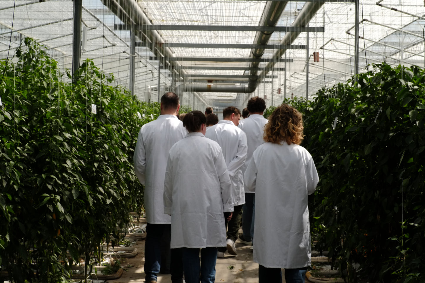 Workshop & Greenhouse Tour - Fermented Hot Sauce @ Westlandpeppers